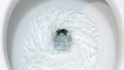 What to Do If You Accidentally Flushed Something Down the Toilet